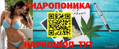трава Беслан