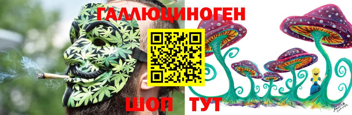 Галлюциногенные грибы MAGIC MUSHROOMS  Вход с VPN  как найти наркотики  Звенигород  Псилоцибиновые грибы Magic Shrooms 