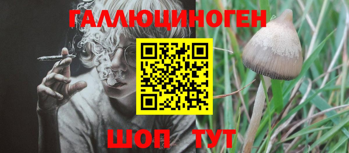 Псилоцибиновые грибы GOLDEN TEACHER Звенигород
