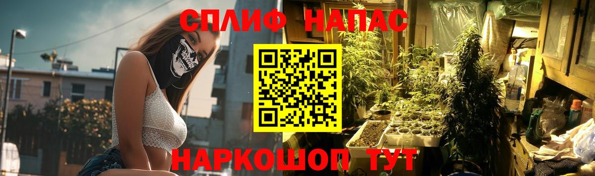 Бошки Шишки AK-47  Вход с VPN  Звенигород  Марихуана планчик 