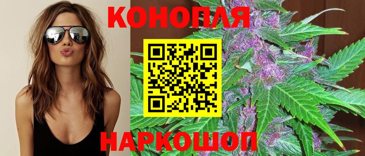 МЕФ Звенигород